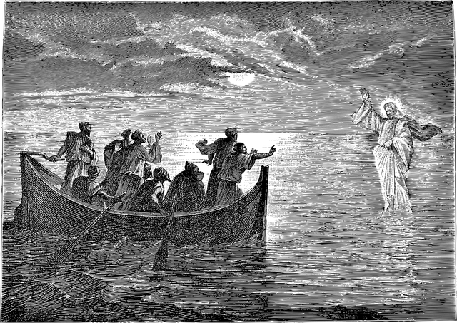 50562810 1913275892135118 1662714060849807360 o