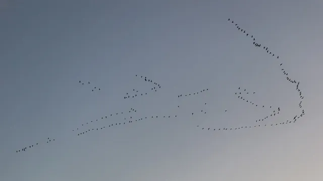72255757_2371231073006262_6355665073880432640_o